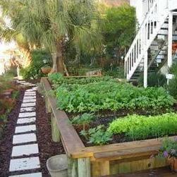 thumbnail for publication: Gardening in Raised Beds